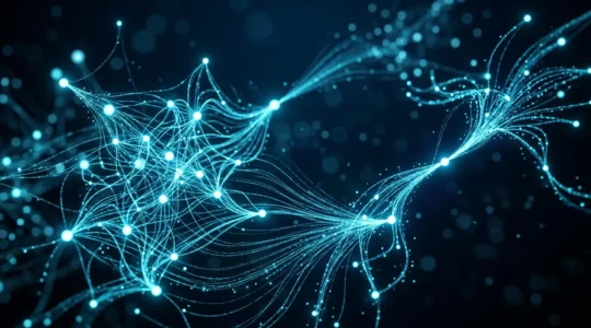 Estrategia de segmentación de audiencias en marketing digital sin cookies de terceros